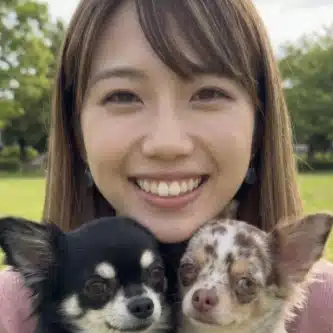 うみ｜チワワ専門・愛犬の10年後を守る部屋作り🐾