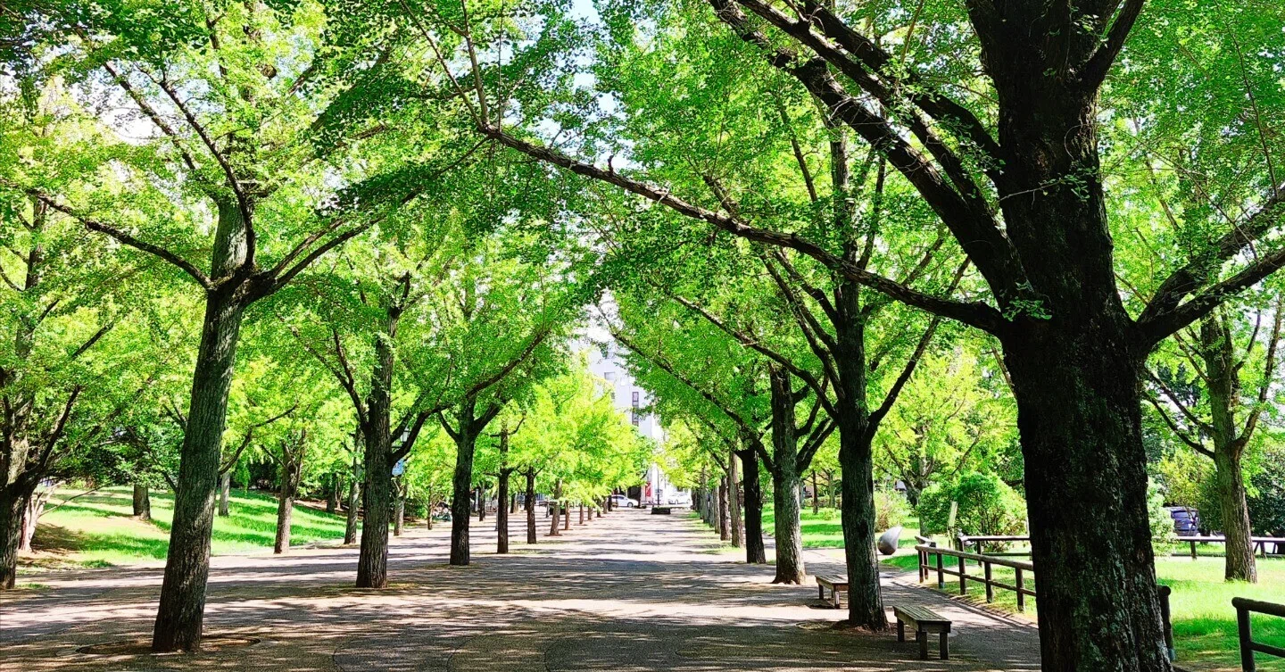 現在使っているスマホで撮った写真にも、フィルムエミュレーションの