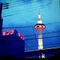 よだか