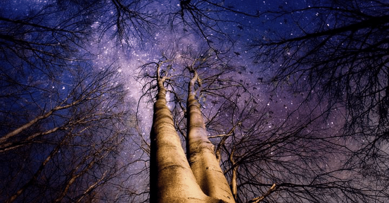 自分に優しく 他人に優しく 黒い猫 もあ note