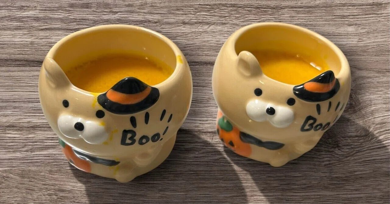 400gのかぼちゃを買って、かぼちゃプリンを作ろう｜もへ