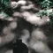 unclear_noclear