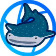 さめこもん