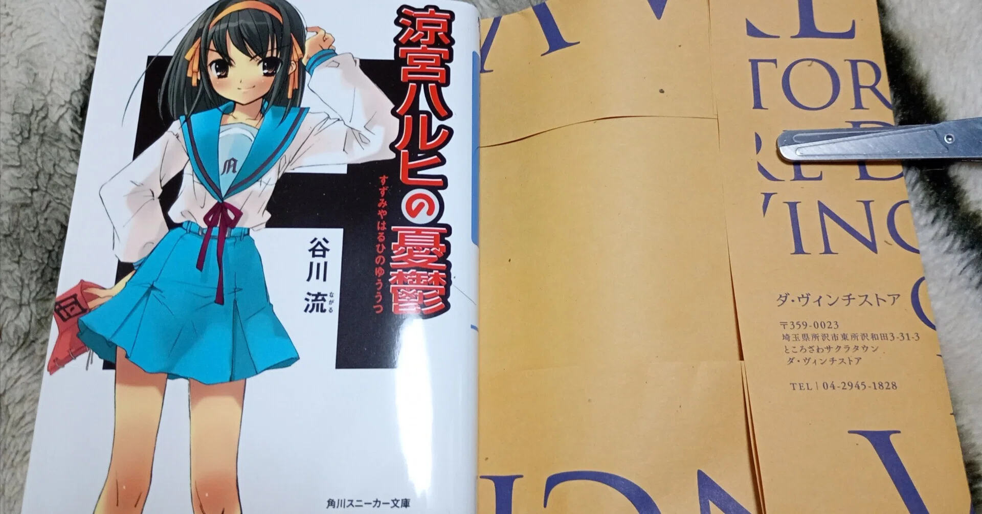 ダ・ヴィンチストア閉店ーー最後の「涼宮ハルヒの憂鬱」を買ってきまし
