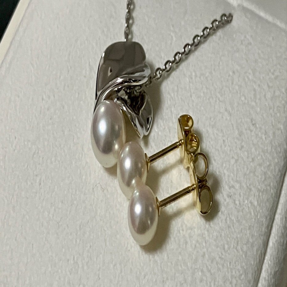 忘れられない二次流通品（ミキモト）｜ねこのひと