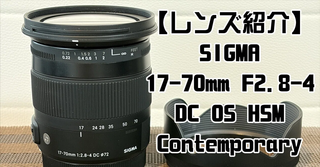 EOS-8000D + SIGMAズームレンズ17-70㎜ + 特典 【公式通販】