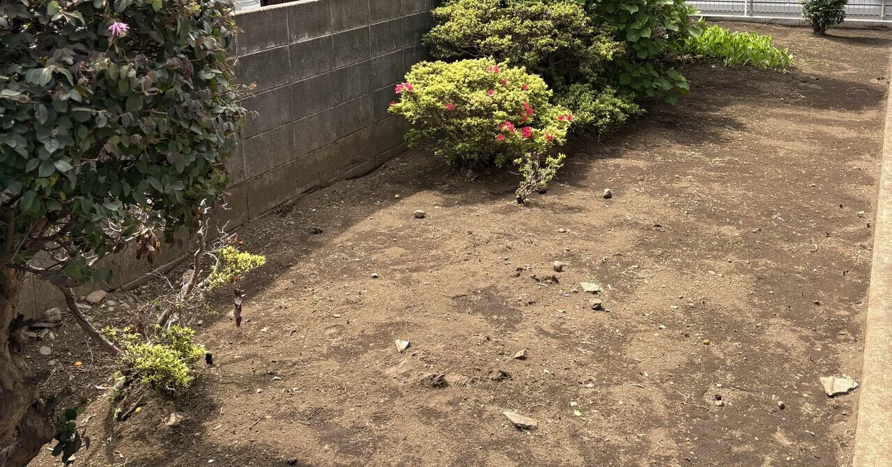 春の雑草対策はお早めに！伸び始めた草をスッキリ草刈りで美しいお庭へ