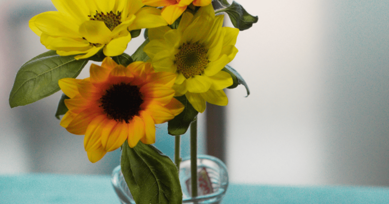 ひまわりの寿命は1週間 Musashi 農業冒険記 Note