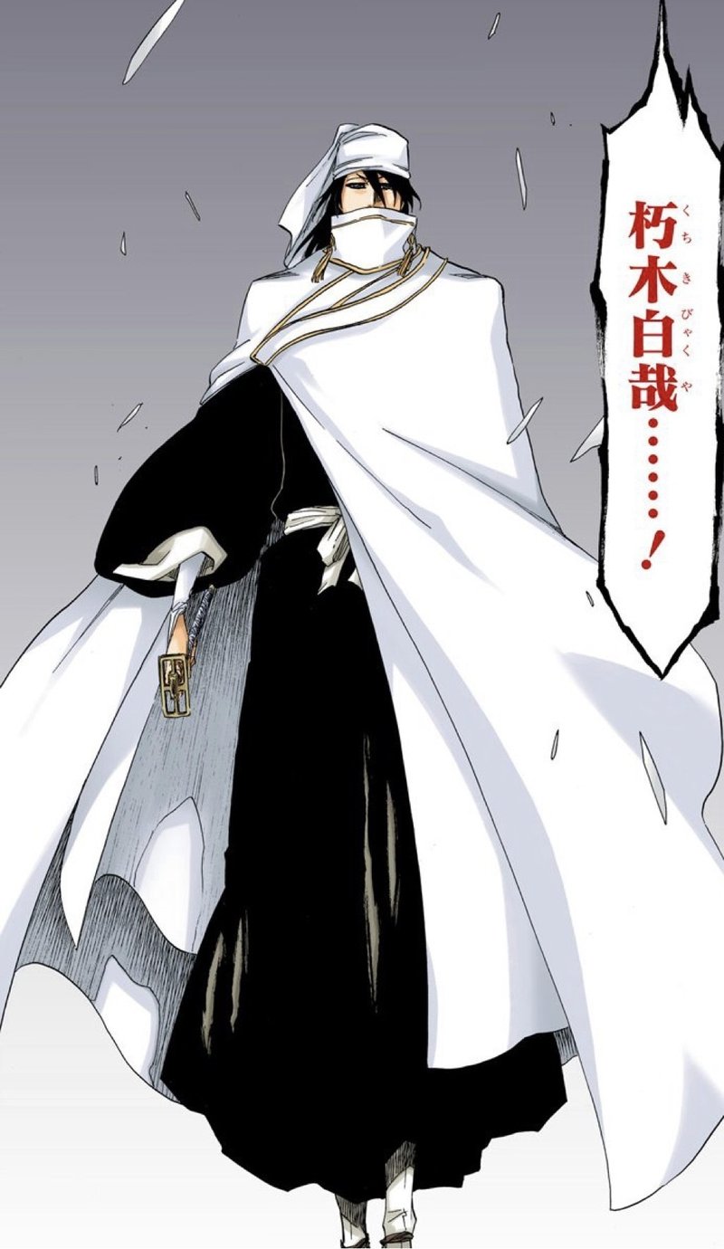 Bleach ニワカが語る 護廷十三隊全隊長卍解まとめ Part3 Mitamin Note