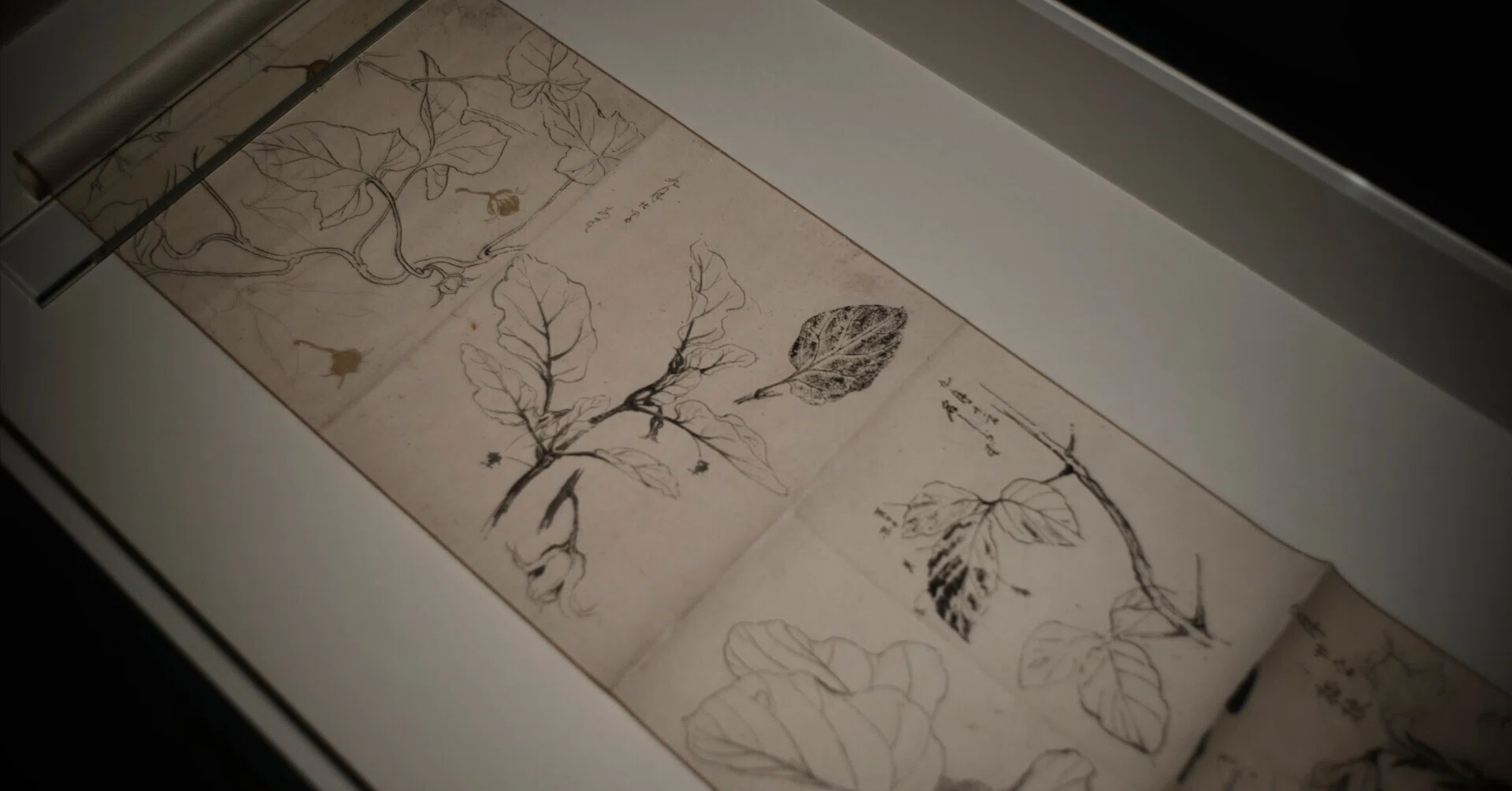 下村観山展（後期）｜sonnar50
