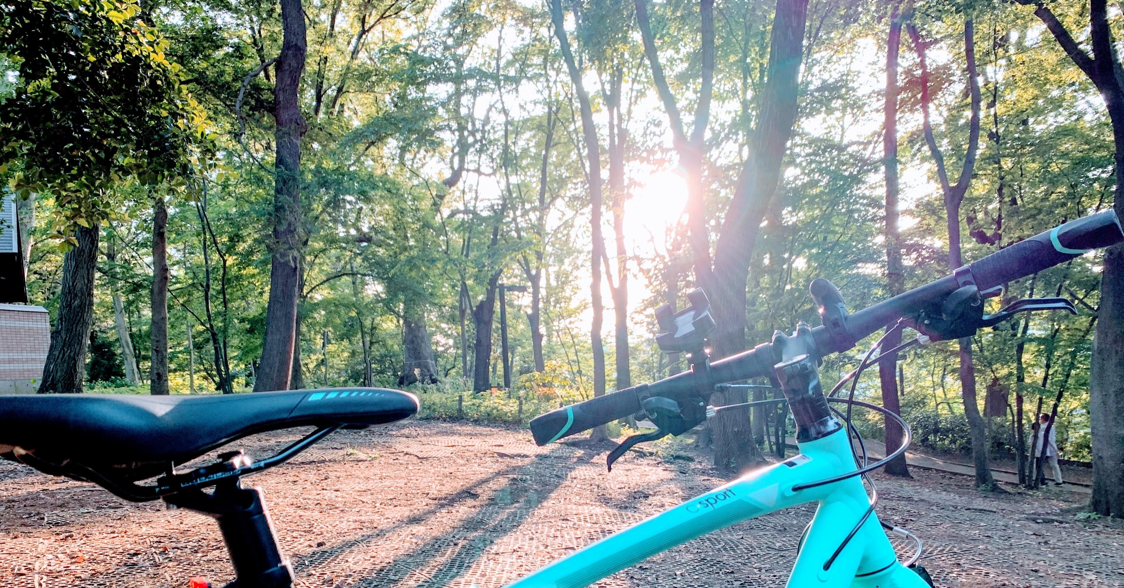 理想の習慣を身につける秘訣【B.J.フォッグ教授の行動デザインモデル