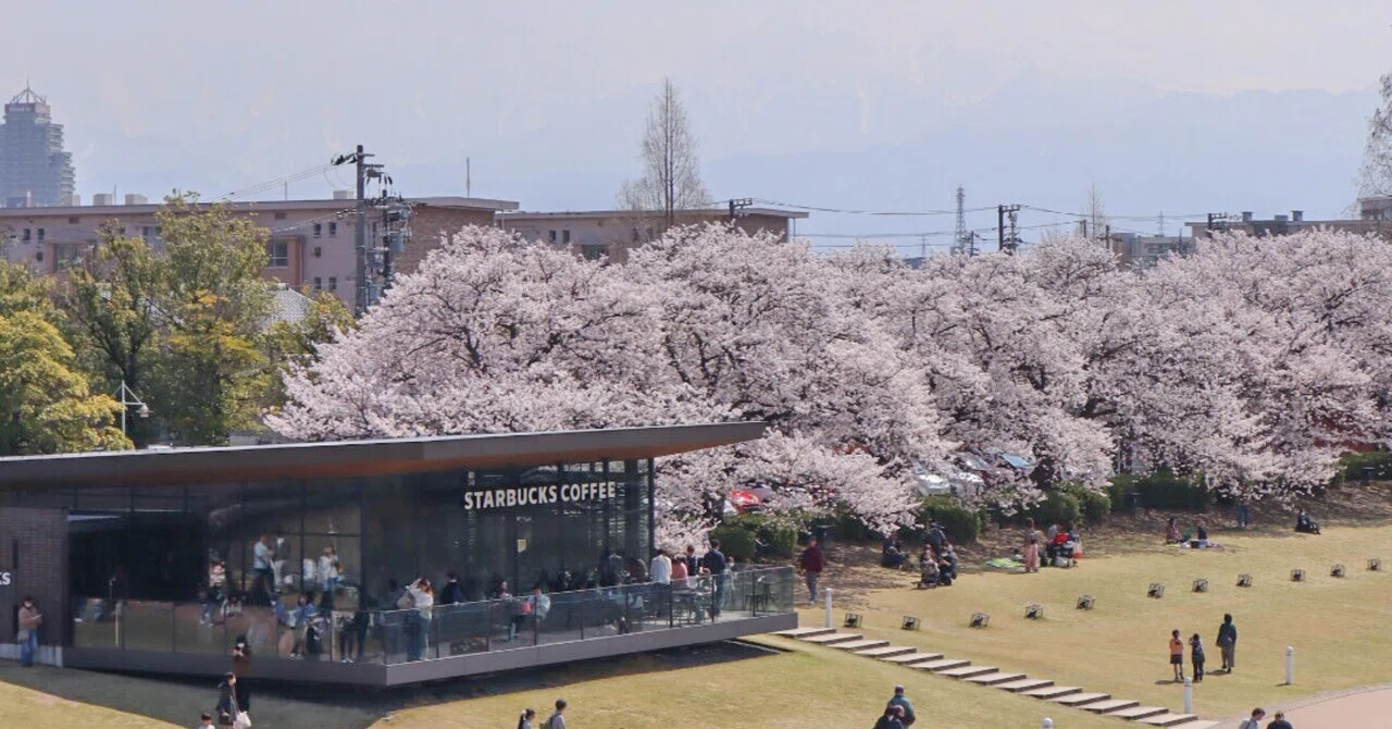 桜咲く春を探しに、富山へ。｜moe-cafe&trip