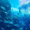 清流の門