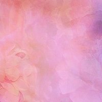 赤ちゃんの毛 ひなてこ 吹けよ春風 Note 赤ちゃんの毛 ひなてこ 吹けよ春風 Note