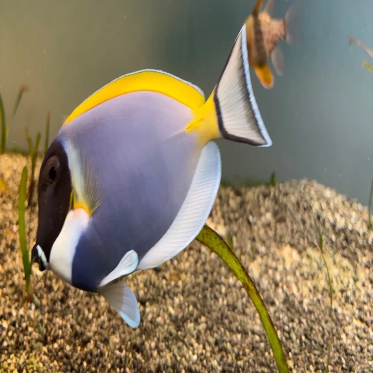 2泊3日春の旅③鳥羽水族館と名古屋城｜maki