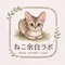 ねこ余白ラボ