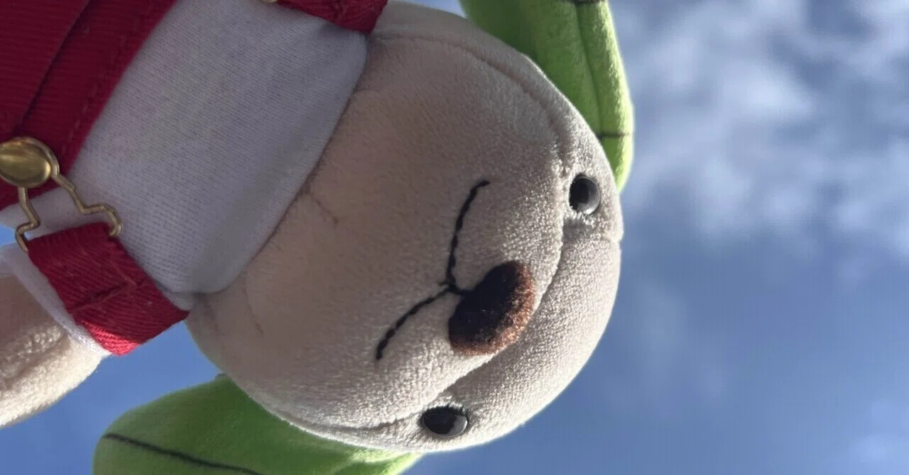 麦茶　プロフィール確認お願いいたします。様 リクエスト 3点 まとめ商品 麦茶のラベルデザインって実際どうなのか気になったので自販機を見て