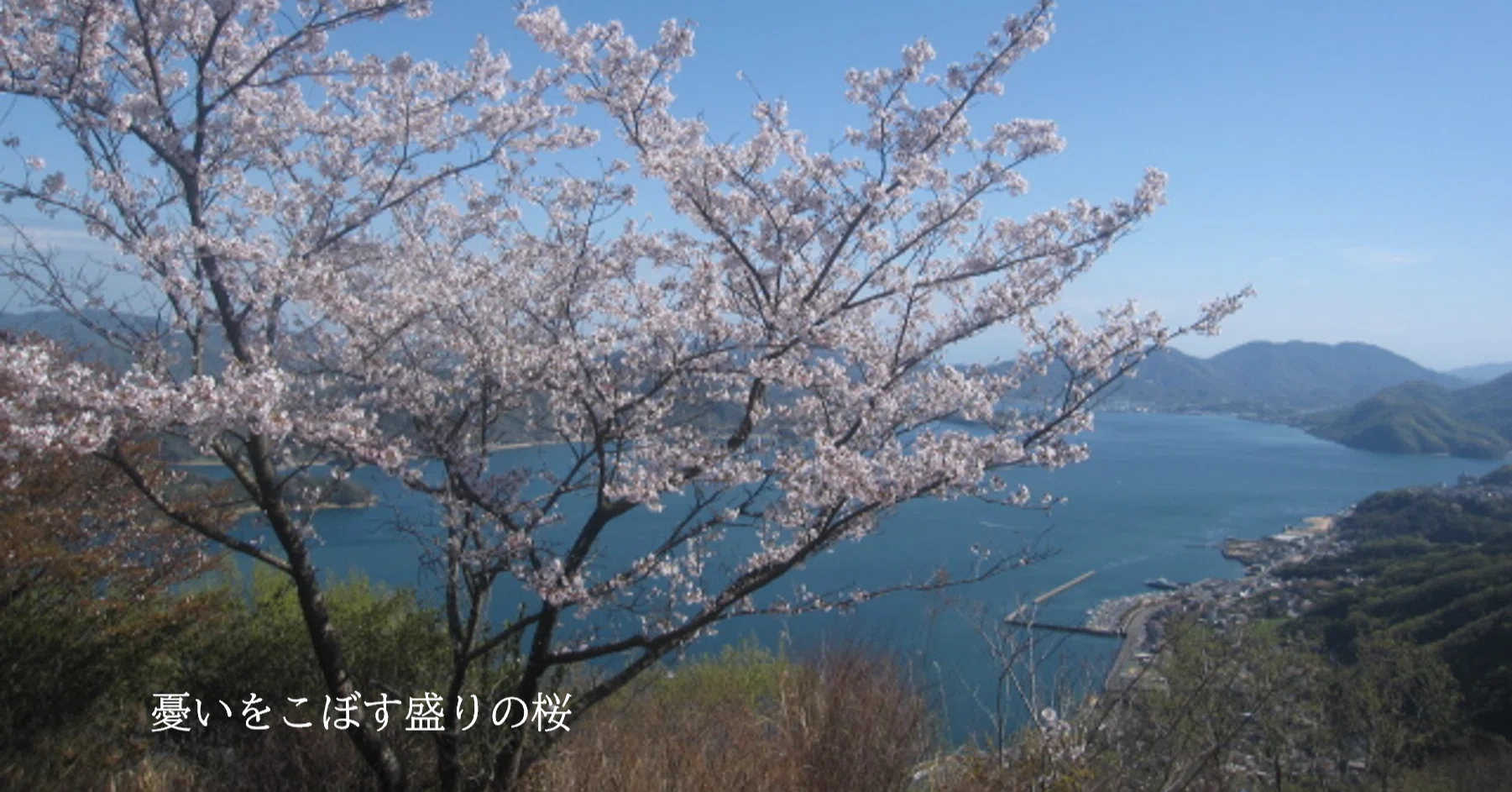 ワタクシ流☆絵解き館 その303 ぼろ下宿に集った青木(繁)グループの