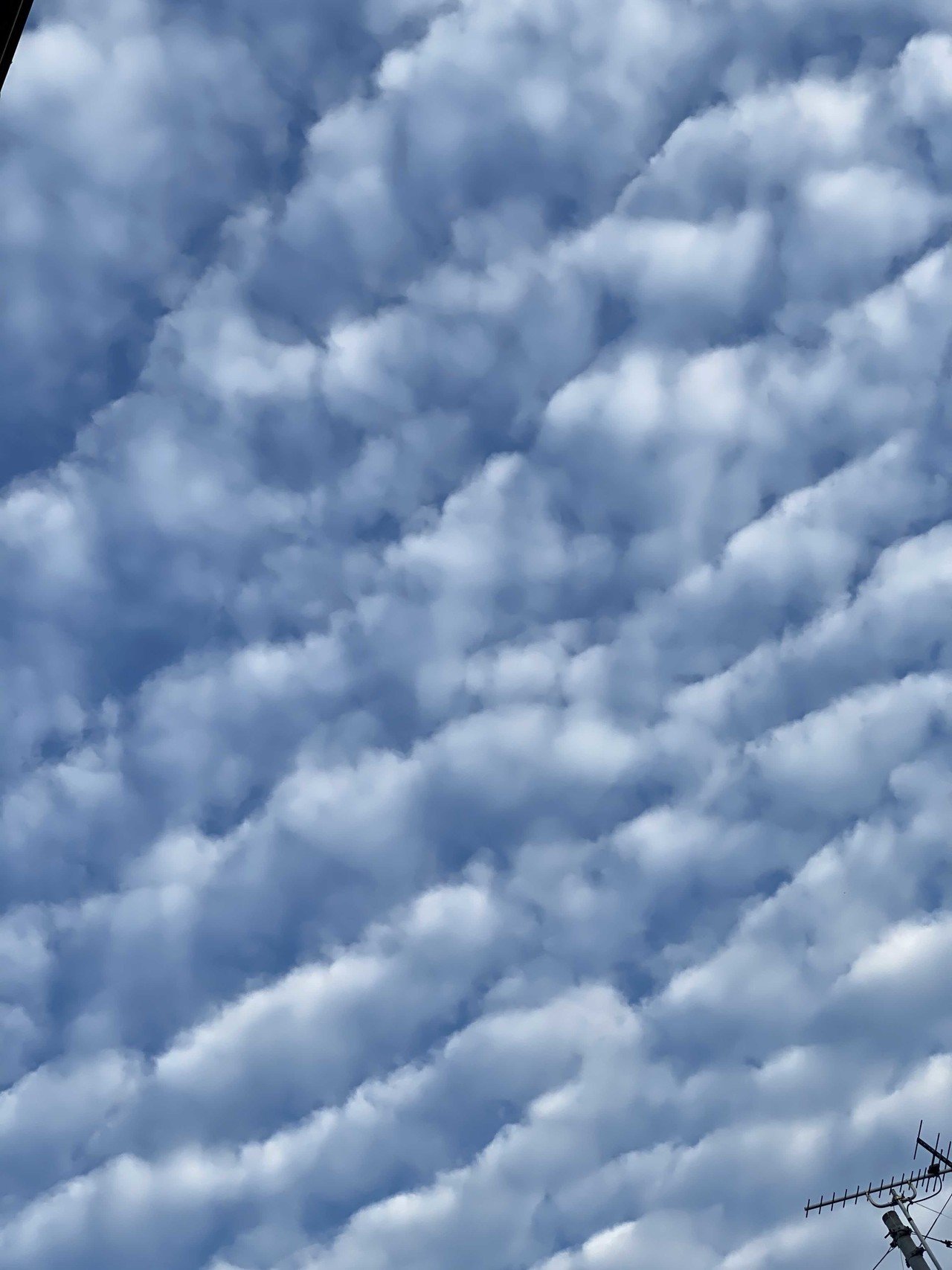 今朝の雲 朝 窓を開けるときに空を見上げたら波をうっているような形をしていた 空全体に広がっている雲 不思議な感じがした 何雲になるのかな ひつじ雲 うろこ雲 地震雲 調べてみよ笑笑 Lotus花grass Note
