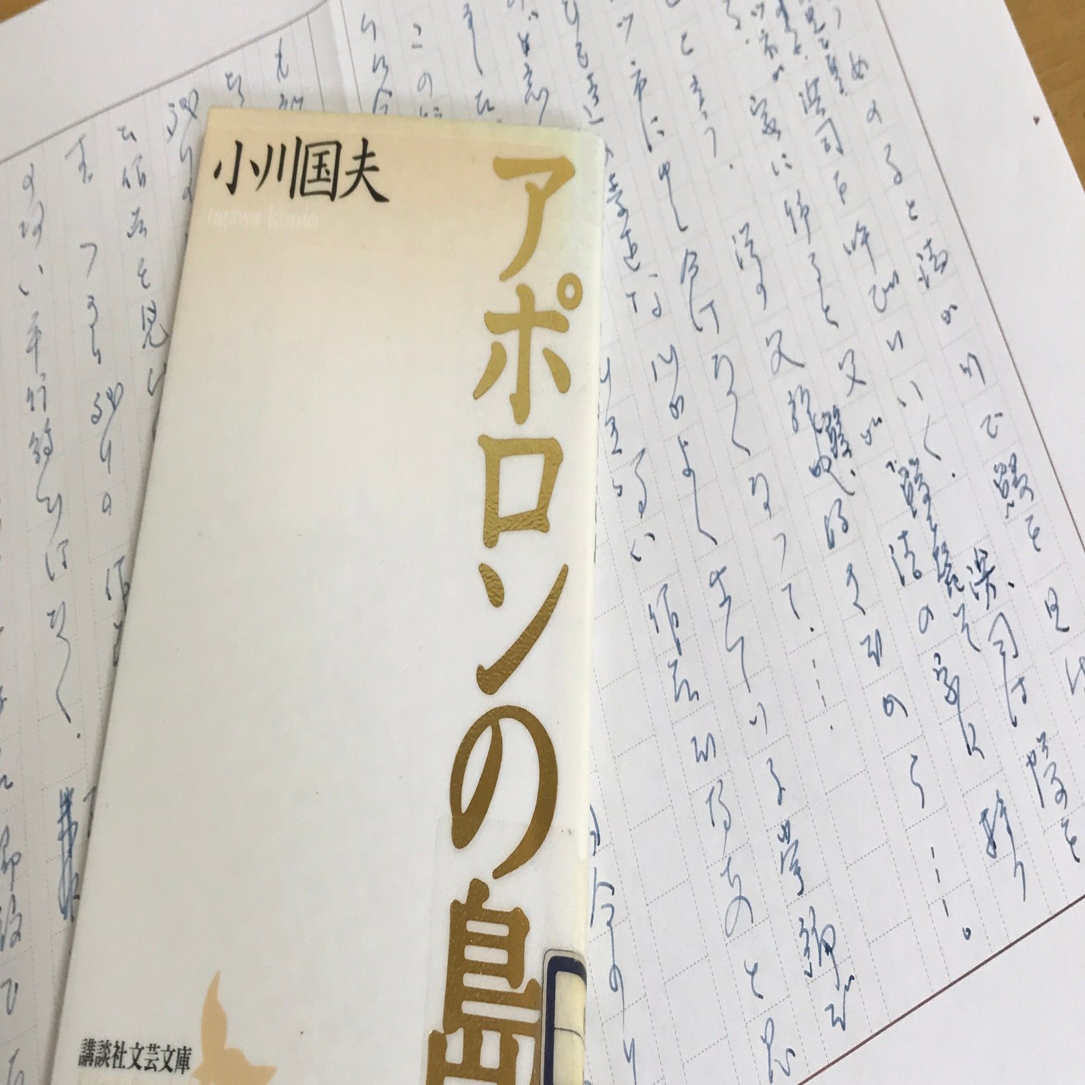 小川国夫（著）短編集『アポロンの島』を読む。｜本と日常😌