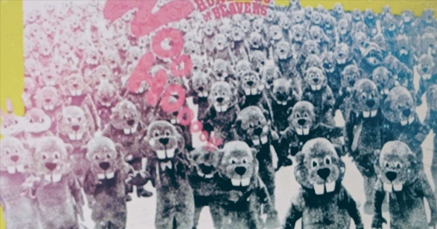 FEVER ビーバー！／Hundreds of Beavers｜Q
