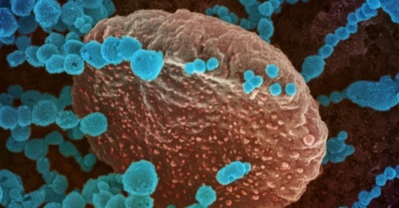 すれ違い行き違いの男 女 ｒａｃｏｃｏ Note