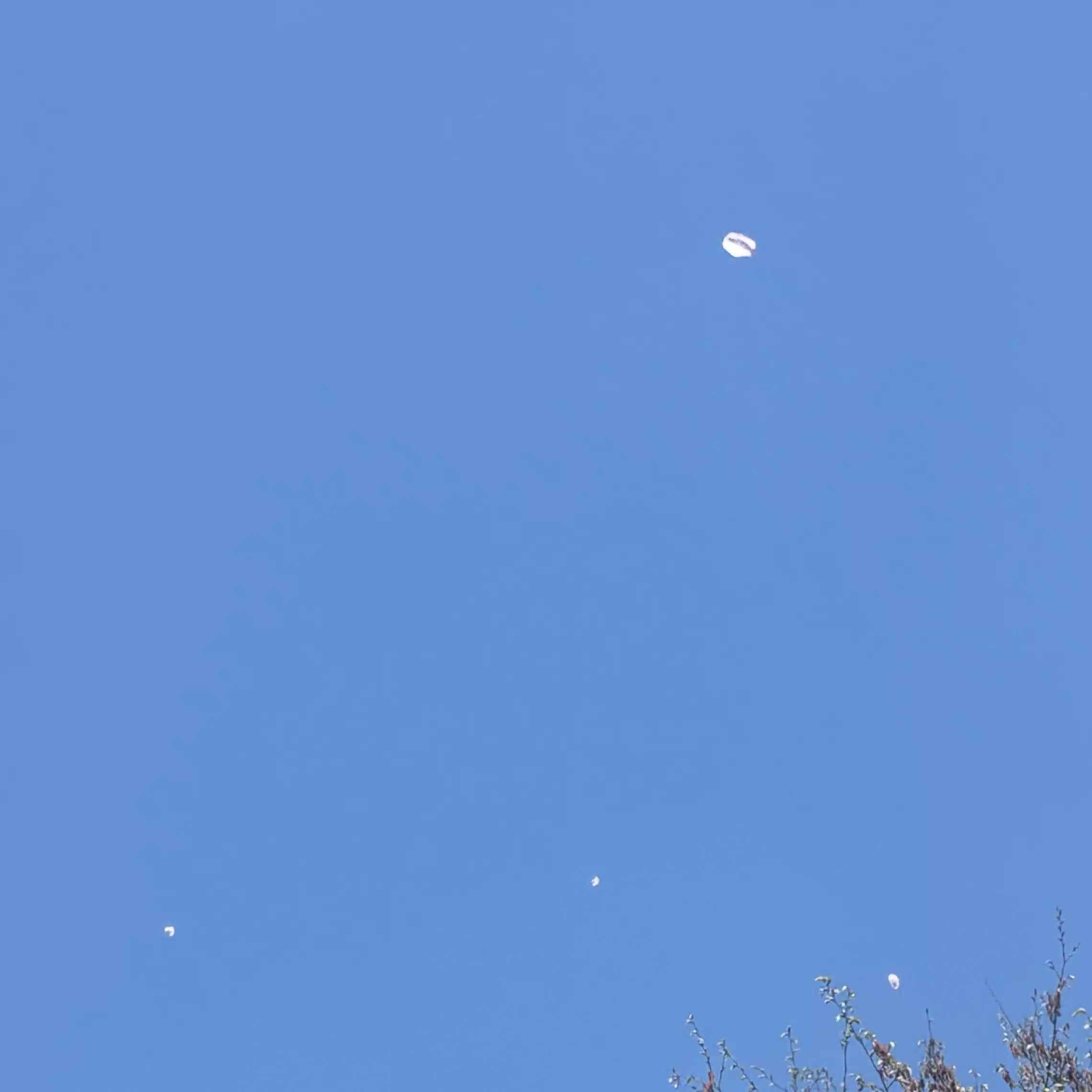 青湖