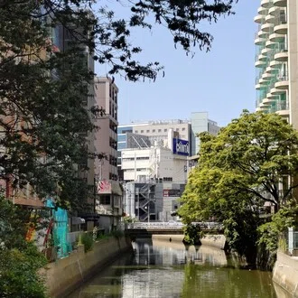 豆腐屋の娘