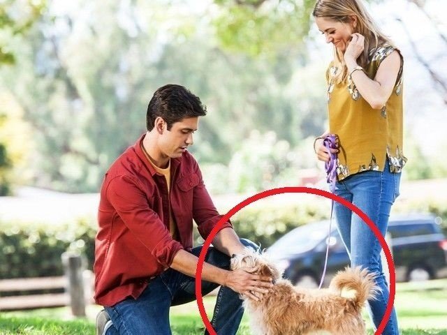 笑いがとまらなかった恋愛映画 紅坂 紫 Note