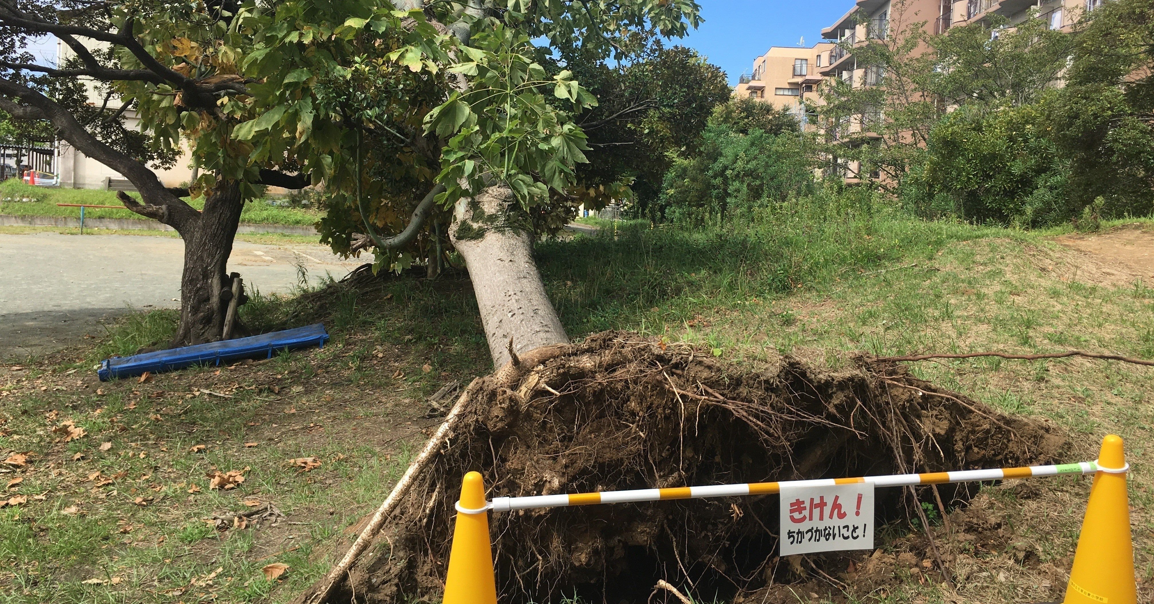 長文 マレーシア人ブロガーが日本に引っ越して学んだ10のこと 野本響子 文筆家 編集者 在マレーシア Note