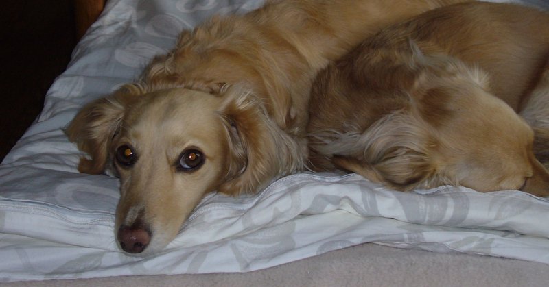 出掛けないことはメリットが非常に多いことが実感できる話 楽しみながら時間とお金が確保できます ケイスケ ハルミルブログ Note