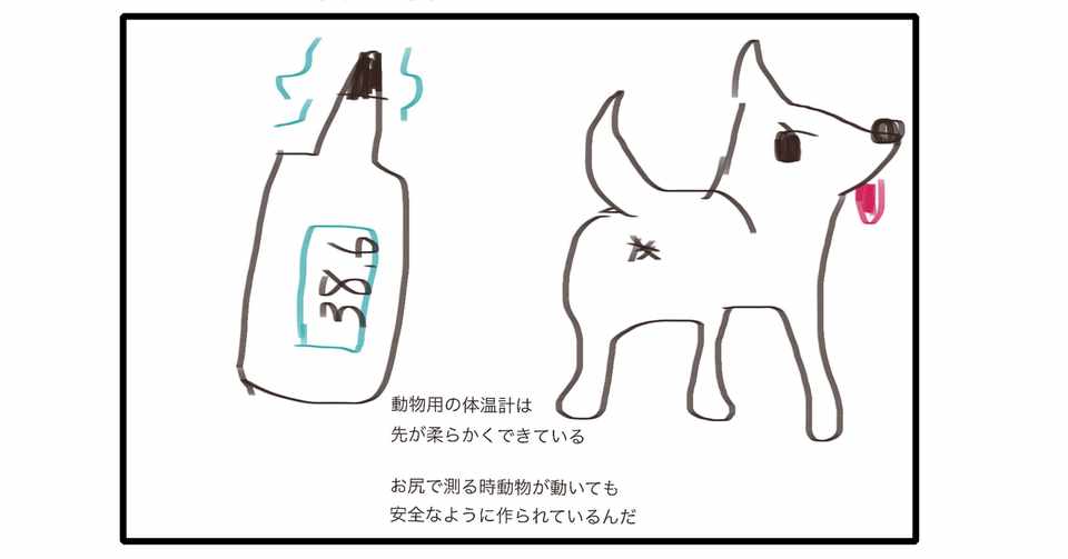 犬と猫の体温を測ってみよう 獣医さんとやってみよう自由研究 Note