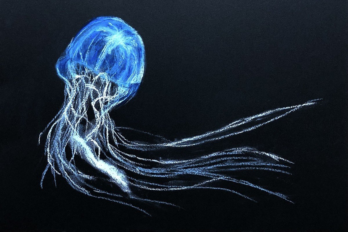 おうちでつくろう 09クラゲただよう涼やかな空間 美術出版エデュケーショナル Note おうちでつくろう 09クラゲただよう涼やかな空間 美術出版エデュケーショナル Note