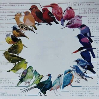 霜注意報発令で果樹農家さんを明るくしようとパイオーツオブカリビアンが等と迂闊な読み手変化せず