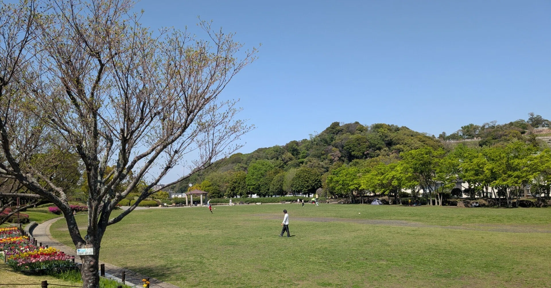 日野 中央 公園