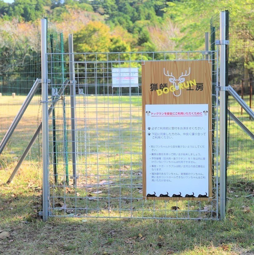 画像18
