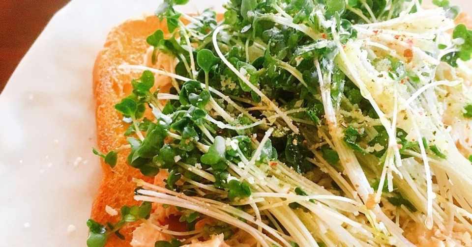 思ったより従順なブロッコリースプラウト 待友ナヲ子 Matsutomo Nawoko Note