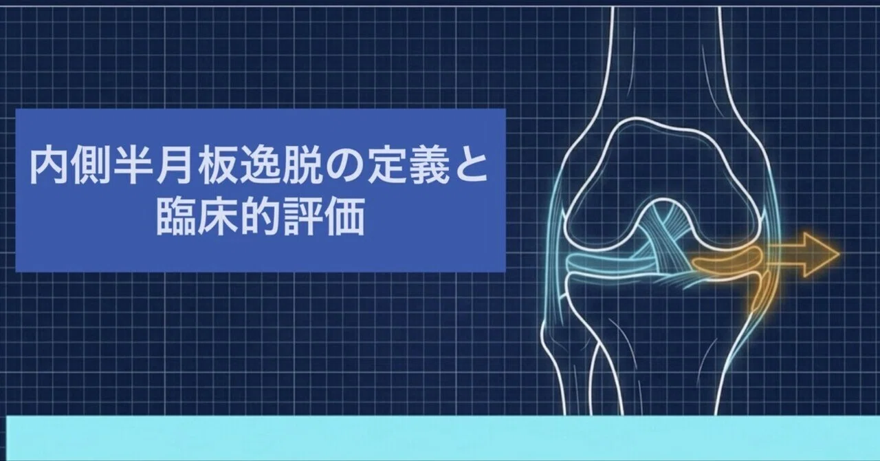 内側半月板逸脱の定義と臨床的評価｜膝神 【臨床勉強部屋】