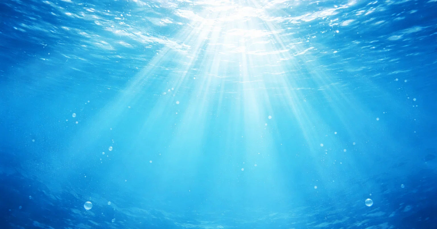 海月」の人気タグ記事一覧｜note ――つくる、つながる、とどける。