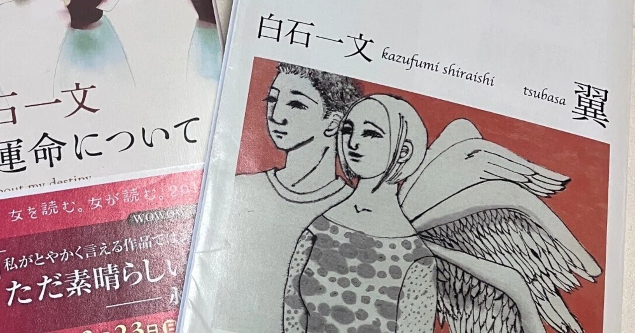 読書感想文】愛とは理解するより赦すこと 白石一文「翼」｜こう 専業 