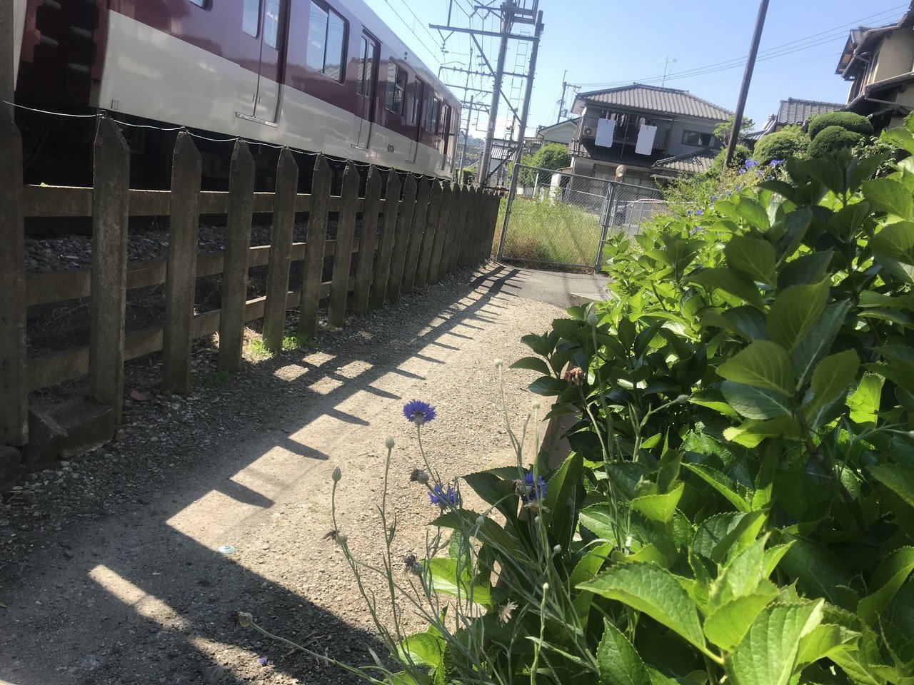 写真 田舎道 サリ 海外帰りの感性直感型アーティスト Note