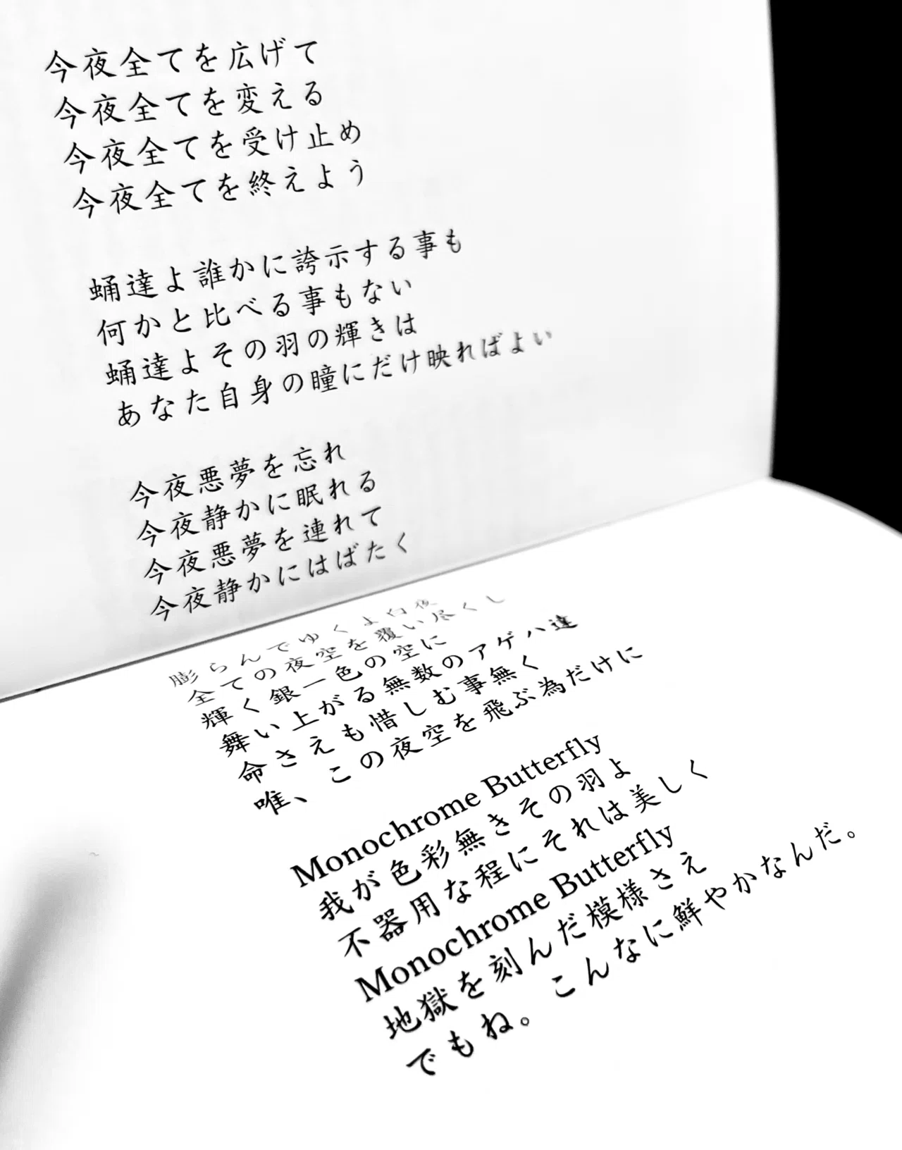 Monochrome Butterfly｜深夜のコネチカール