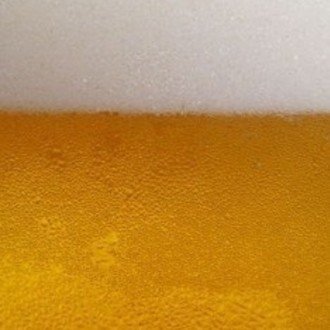 （´∀｀）ﾂﾙｻﾄｼ