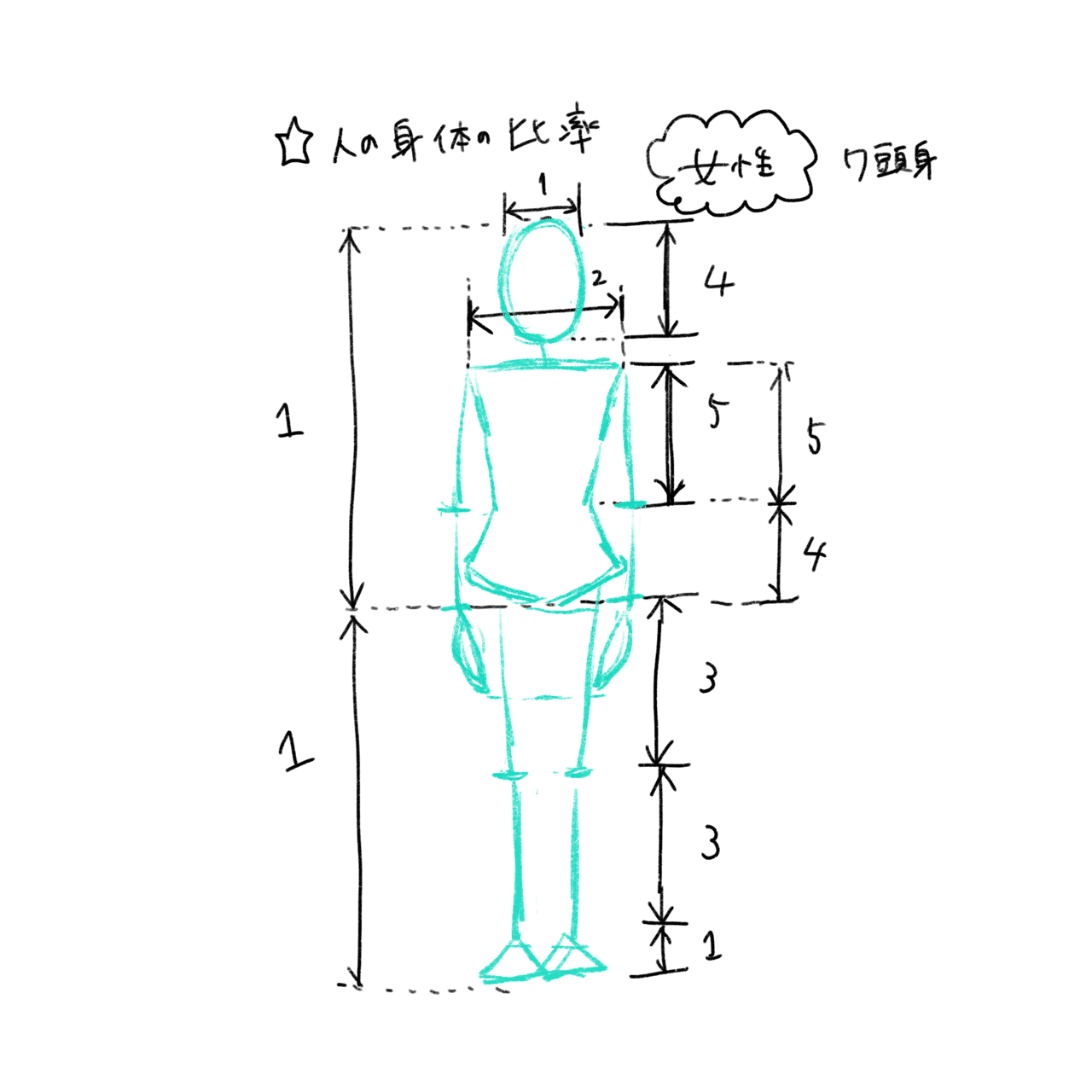 絵を描く練習 3日目 人の体のパーツの比率 ぶたいさん Note