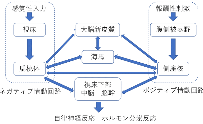 神経症・心因反応・人格障害