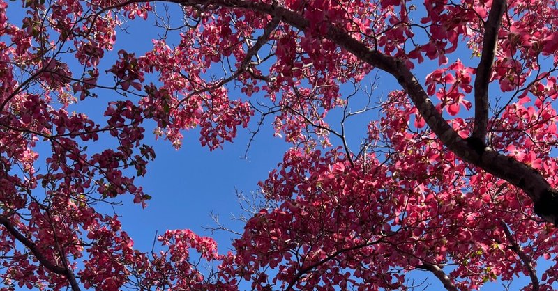 労働したくないと思う日々