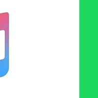 ゲスの極み乙女 両成敗 全曲 主に歌詞 レビュー あーりんマッギー Note