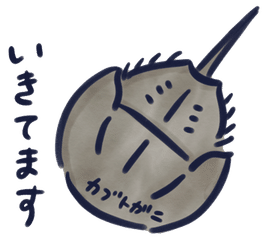 海の生きもの イラスト まりか博士 Note 海の生きもの イラスト まりか博士 Note