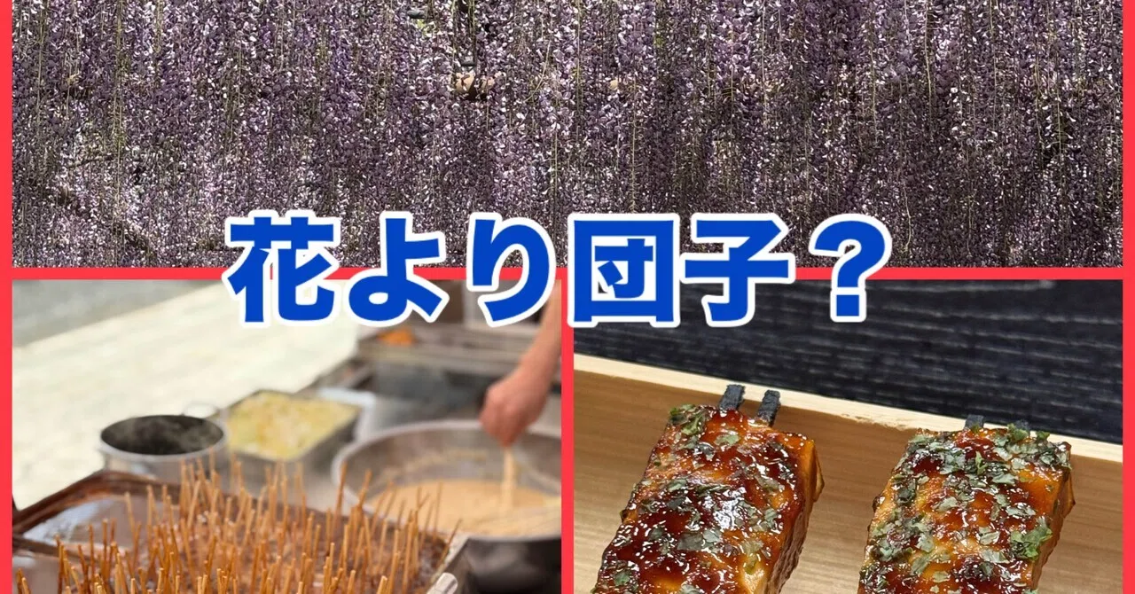 花より団子｜大薮豊数