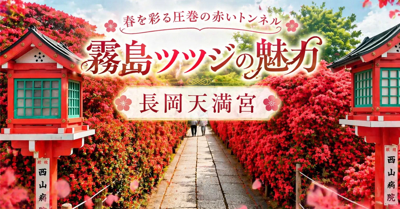 2026年最新】長岡天満宮の霧島ツツジが圧巻すぎる｜見頃・混雑回避